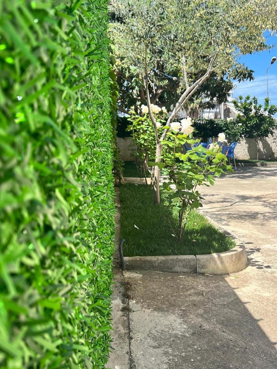 Bp Beach Apartments ゴーレム エクステリア 写真